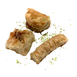 image-removebg-preview (10)